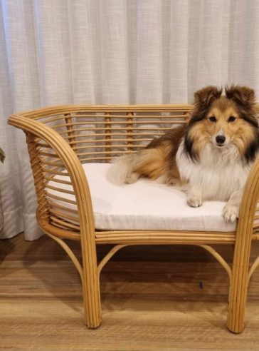 Kiba Rattan Dog Bed - Large