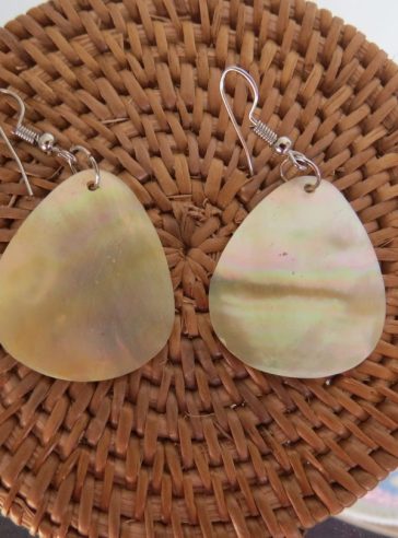 Teardrop Shape Shell Earrings