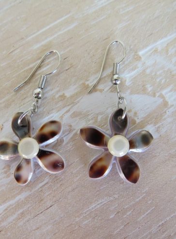 Star Shaped Shell Earrings #1